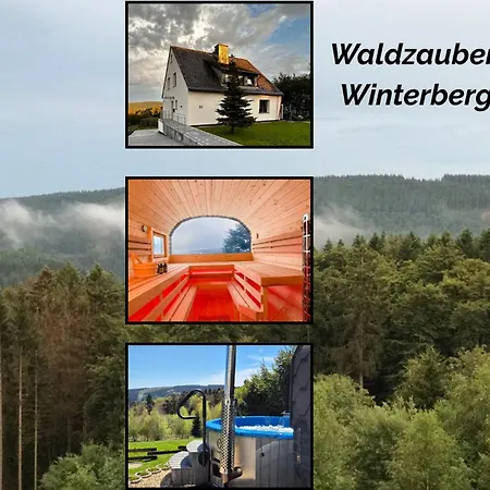 Luxus-ferienhaus Mit Sauna, Hot Tub Und Grandiosem Panorama