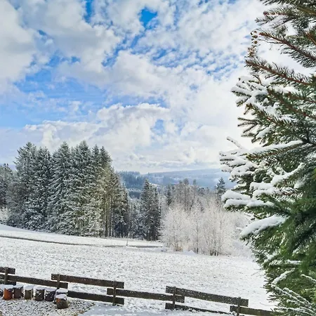 Feriehus Luxus-ferienhaus Mit Sauna, Hot Tub Und Grandiosem Panorama